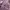 Hysteric Glamour Vintage Y2K Bomber jacket Kids purple photo 8