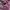 Hysteric Glamour Vintage Y2K Bomber jacket Kids purple photo 6