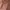 Lolita Coquette Playsuit Wanita pink brown photo 3