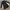 Casual Fur coat Wanita black photo 2