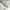 Mind Bridge Minimalist Casual Polo shirt Pria white khaki photo 5