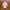 Vintage Casual Crop top Wanita pink photo 1