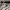 Streetwear Gorpcore Short Pria white cream photo 6