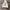 Gucci Casual Hoody Pria gray photo 1