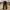 Streetwear Y2K Casual pants Pria brown photo 2