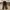 Streetwear Y2K Casual pants Pria multicolor photo 2
