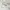 Old Navy Minimalist Casual Short Pria white photo 6