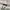 Minimalist Casual Short Pria tan gray photo 4