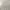 Minimalist Casual Short Pria tan gray photo 1