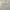 Minimalist Casual Short Pria tan gray photo 2