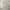Minimalist Casual Short Pria tan gray photo 5