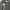 Streetwear Reworked Cardigan Pria gray photo 5