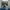 Adidas Streetwear Casual Sneakers Pria white blue photo 4