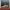 VANS Streetwear Skater Sneakers Pria gray photo 4