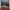 VANS Streetwear Skater Sneakers Pria gray photo 5