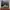 VANS Streetwear Skater Sneakers Pria gray photo 2