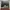 VANS Streetwear Skater Sneakers Pria Gray