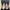 VANS Streetwear Skater Sneakers Pria gray photo 1