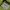 Hollister Reworked Hoody Pria Green