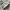 Puma Casual Sneakers Pria white gray photo 1