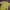 Sportswear Casual Sweatshirt Wanita green yellow photo 2