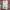 Lee Casual Casual shirt Pria red gray photo 6