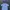 Kangol Casual T-shirt Pria White