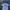 Kangol Casual T-shirt Pria White