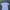 Champion Casual T-shirt Pria white photo 1