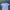 Champion Casual T-shirt Pria White