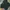 COLORBOX Minimalist Crop top Wanita green photo 2