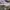 Diadora Sportswear Sneakers Wanita purple white photo 1