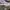 Diadora Sportswear Sneakers Wanita Purple White