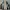 Nike Streetwear Sportswear Sneakers Pria white black photo 6
