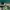Nike Skater Sneakers Pria white green photo 1