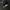Nike Skater Sneakers Pria black photo 1