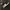 Nike Skater Sneakers Pria black photo 3