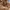 Minimalist Handbag Wanita cream photo 1