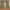 Polo Ralph Lauren Streetwear Biker Casual trouser Wanita green photo 3