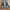 Wrangler Vintage Streetwear Flare pants Wanita blue photo 3