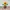 Fairy Coquette Kids brown orange photo 1