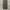 Japanese brand Indie Casual Casual pants Pria green photo 1