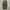 Japanese brand Indie Casual Casual pants Pria green photo 5