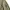 Casual Bomber jacket Pria green photo 4