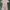 Luxury Pakaian adat Bodycon dress Wanita white pink photo 1