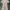 Luxury Pakaian Adat Bodycon Dress Wanita White Pink