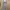 Moschino Casual Midi dress Wanita multicolor photo 5