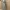 Moschino Casual Midi dress Wanita multicolor photo 6