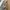 Moschino Casual Midi dress Wanita multicolor photo 4