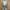 Moschino Casual Midi dress Wanita multicolor photo 2